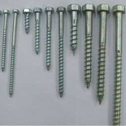 M12木螺丝生产厂家 8 80木螺丝制造商 德祥金属制品